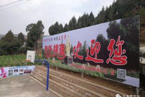 新春年味濃，相約正覺寺