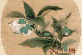 《寺外桃源講花卉》– 春光無限，種一株山茶花吧