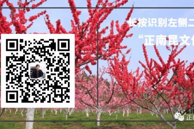 《寺外桃源講花卉》–喜悅熱烈的大麗花想告訴你福利來咯！