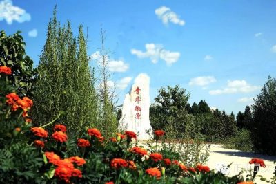 寺外有桃源，丘陵藏芬芳