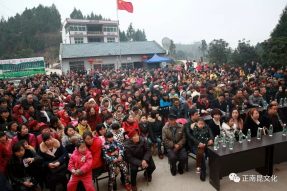 村晚十五周年盛典，星光大道明星與您同慶！
