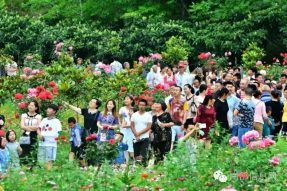 沸騰的小山村——伏虎寺外桃源，令人震撼的美！