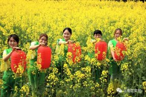 抗擊疫情 擁抱春天，2020南部縣西水鎮(zhèn)網(wǎng)絡(luò)油菜花文化節(jié)